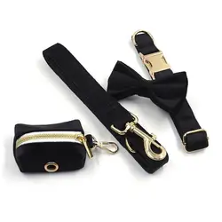 RTS style Luxury fashion pet collar dog collar metal buckle designer dog collar leash