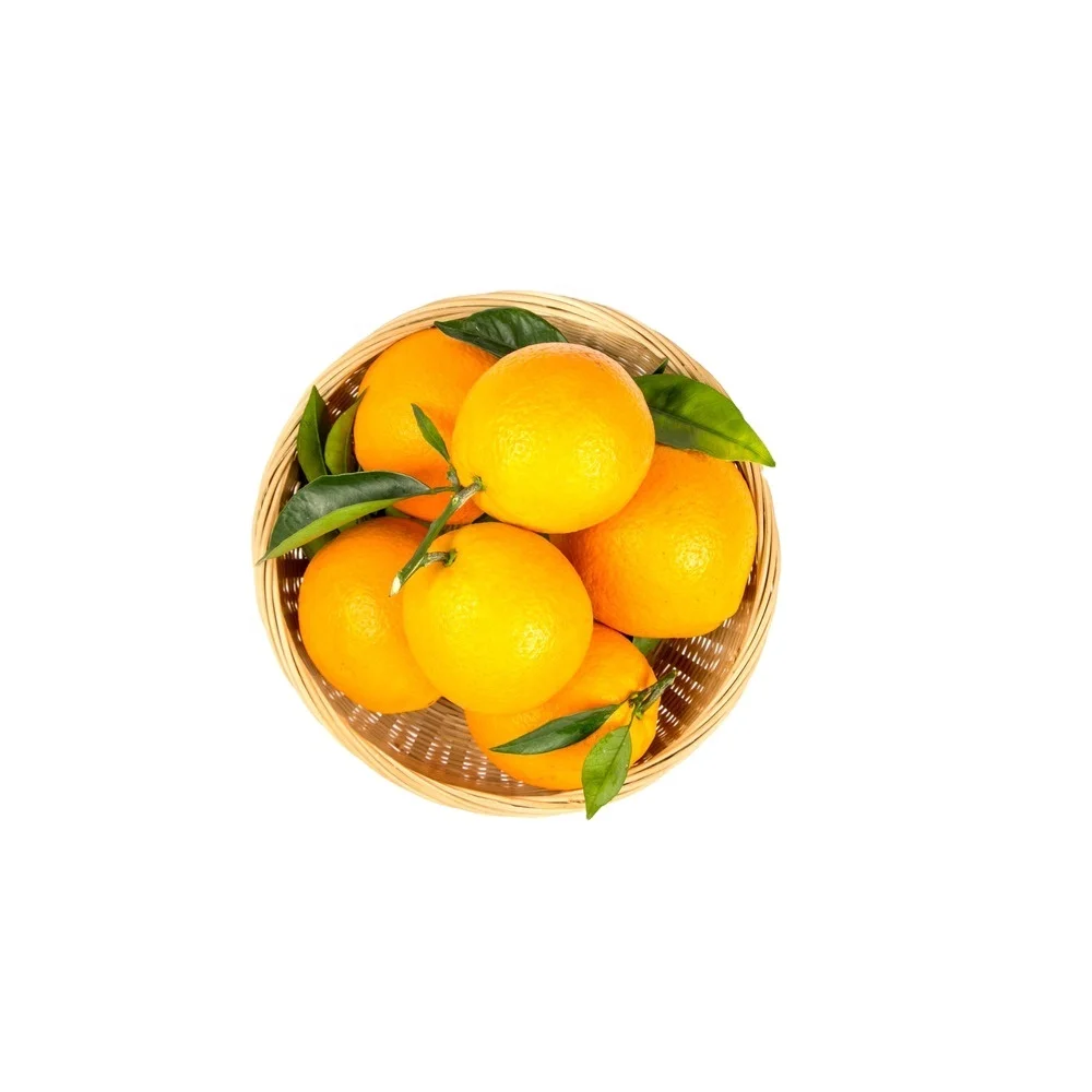Fresh Eureka Adalia Verna Lemons and Valencia Navel Oranges Exporters Citrus Fruit from Trusted Sources