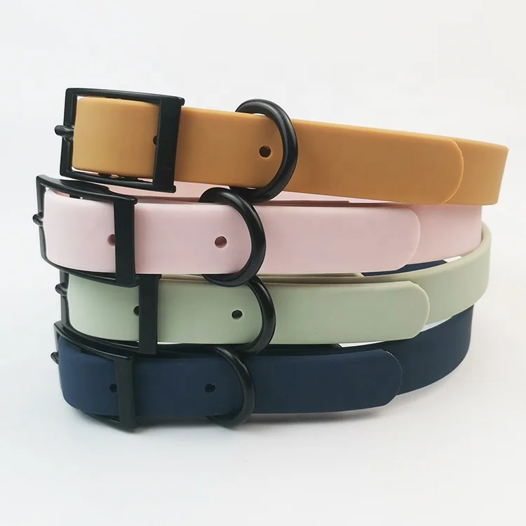 collar and leash (12).jpg