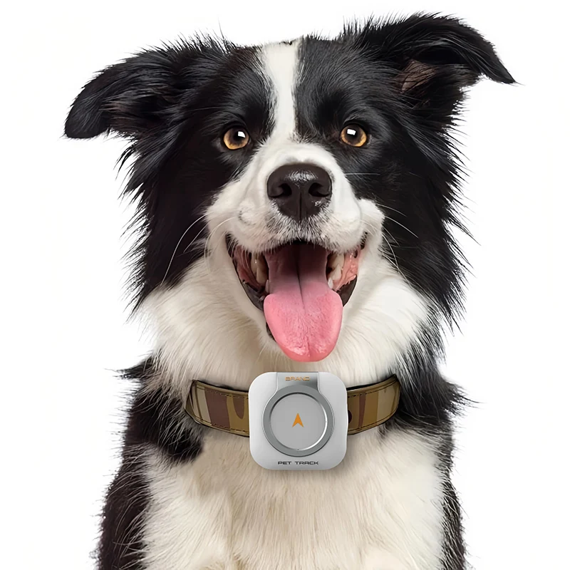 Factory Latest IP67 Waterproof Mini GPS Tracker Pet Collar Anti-lost Real Time Tracking Dog Cat Locator