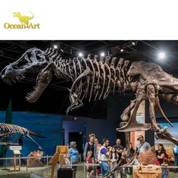 Outdoor Science Museum Exhibits Dinosaur Fossils