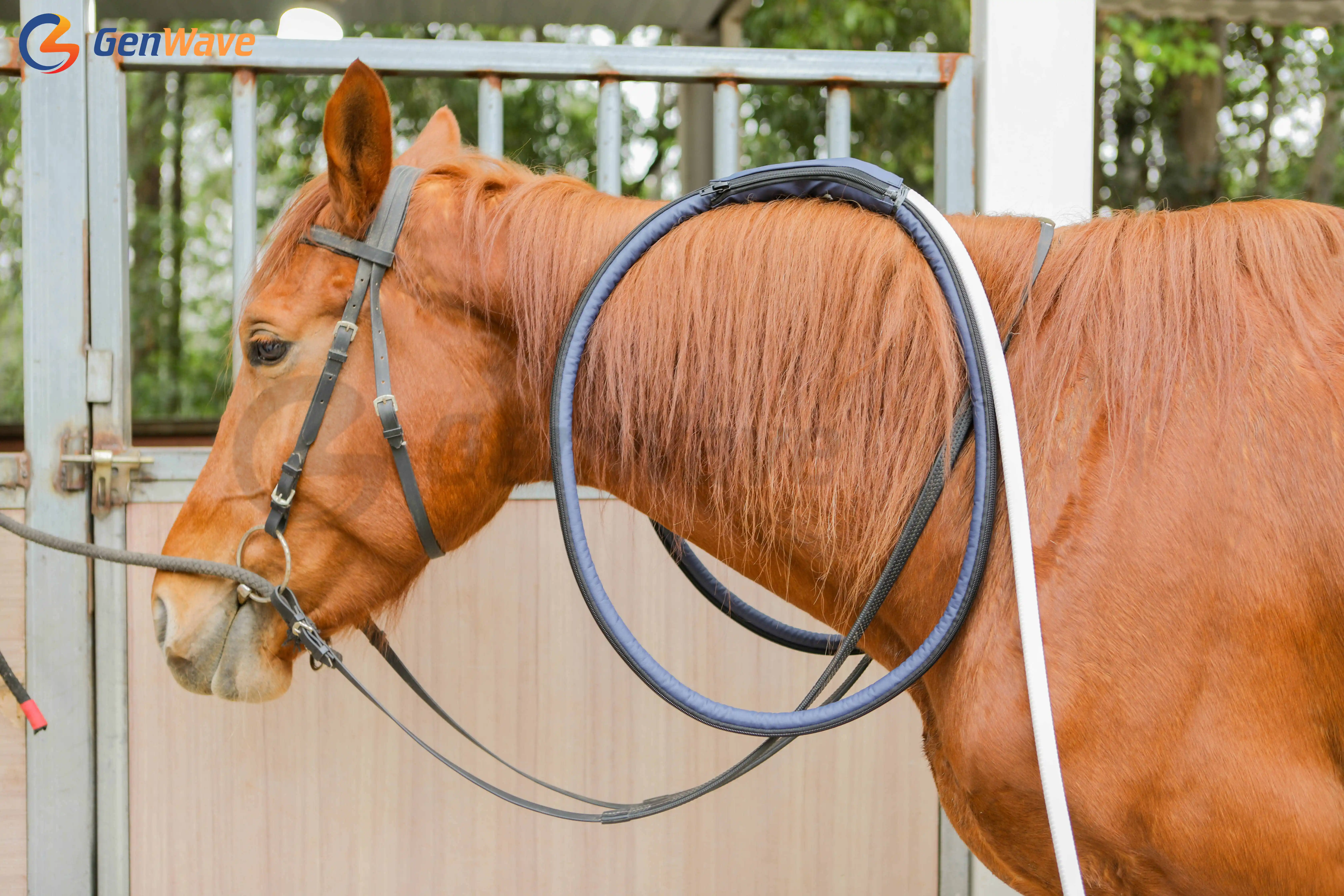 PEMF Magnetic Therapy Device PMST LOOP For Horse Animal Care China PEMF Loop PEMF Mat