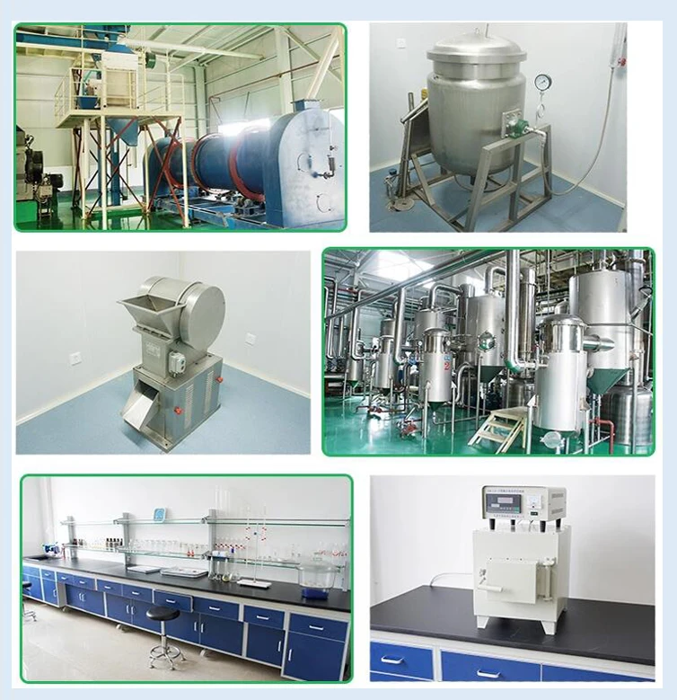 
Honeysuchle flower extract powder/Lonicera Japonica extract/Chlorogenic Acid 