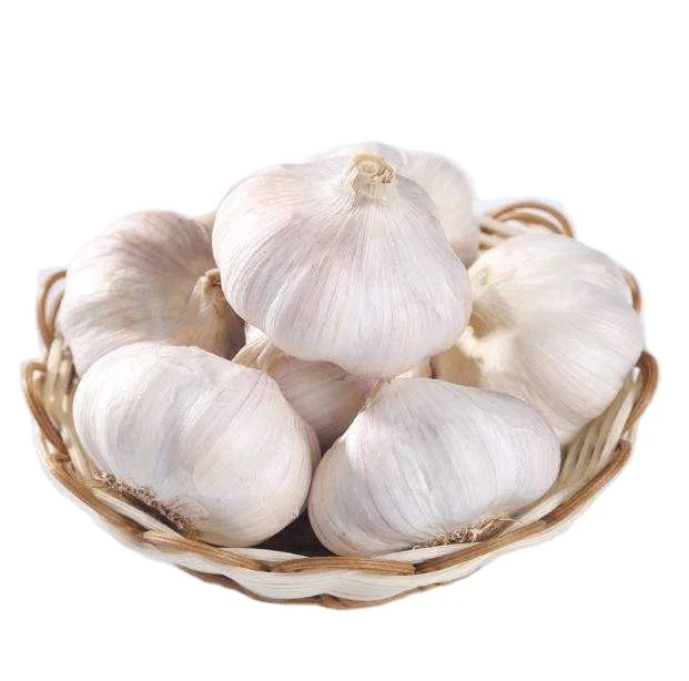 Organically grown fresh garlic Premium seasoned garlic for export to China