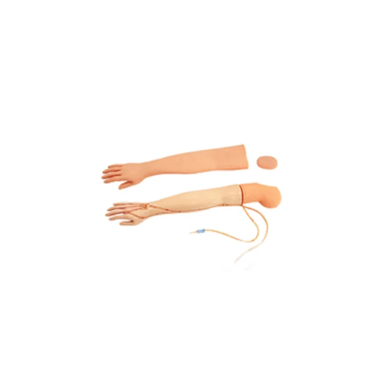 medical teaching flexible joints modelling lifelike  Full functional arm venipuncture injection model Features