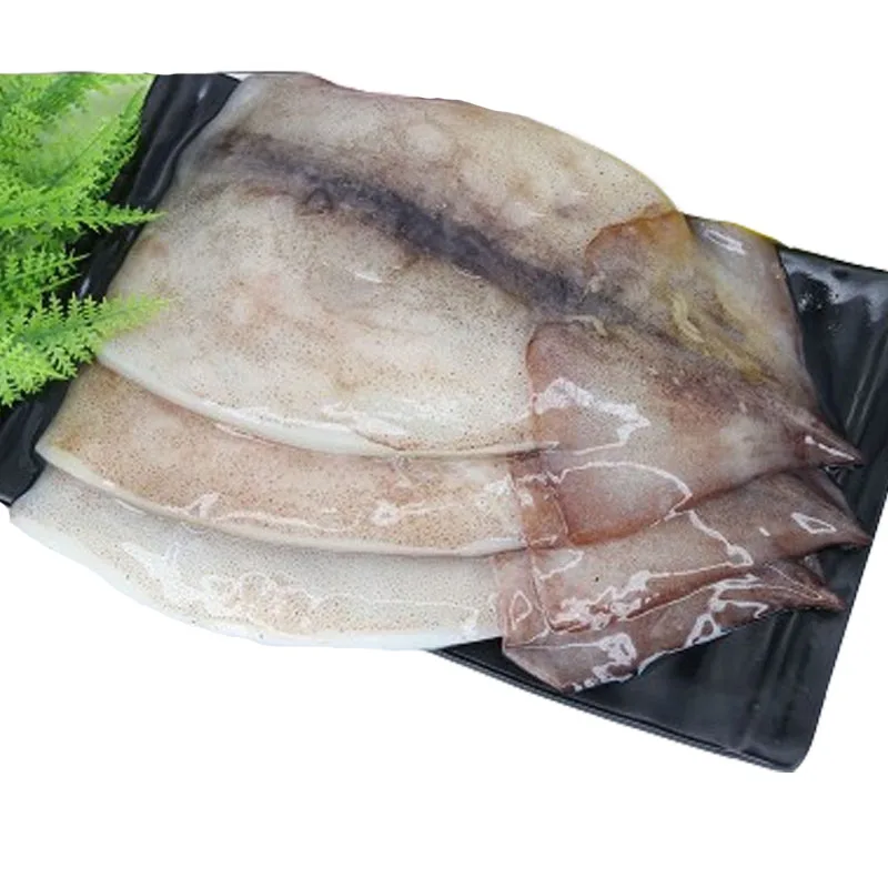 Good quality Frozen Squid fillet customized Illex squid Todarodes squid