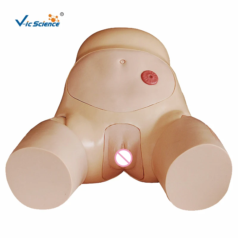 advanced female urethral catheterization simulation medical nursing training mannequin medical science