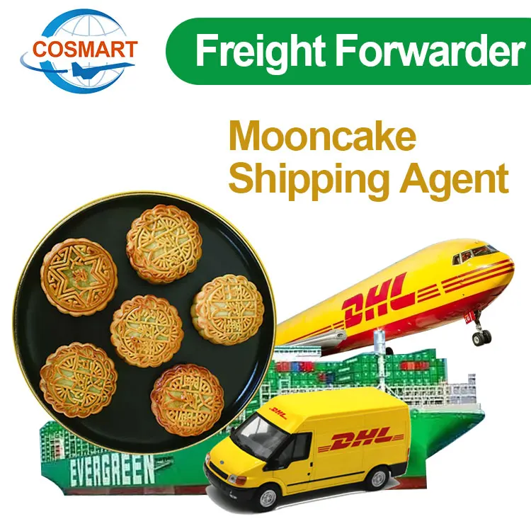 Best Price worldwide Express Service Fast DDP Dropshipping Air Shipping Freight Forwarder Shipping Agent DHL UPS Fedex