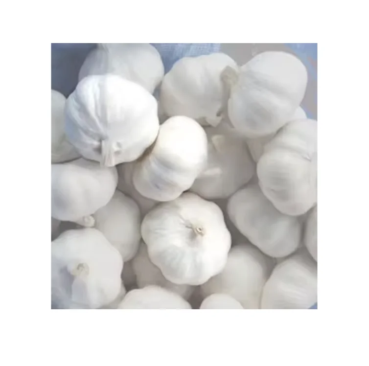 Chinese Low Price Fresh Garlic White Garlic 1000gX10 per carton