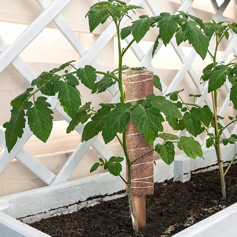 30\40\50cm Plant Climbing Pole Coir Moss Stick Bendable Palm Vines Stick Plant Support Extension Climbing Indoor Plants Creepers