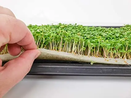 100% Jute Fiber Seed Disc Jute Felt for Plants