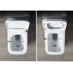 Sanitary Wares Manufacturer Ceramic Rimless One Piece Wall Hung Installation Seat WC Toilet