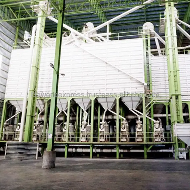 
Jasmine Rice 100% Thai Jasmine Perfume Rice Brands Or OEM Origin Thai Jasmine Rice 