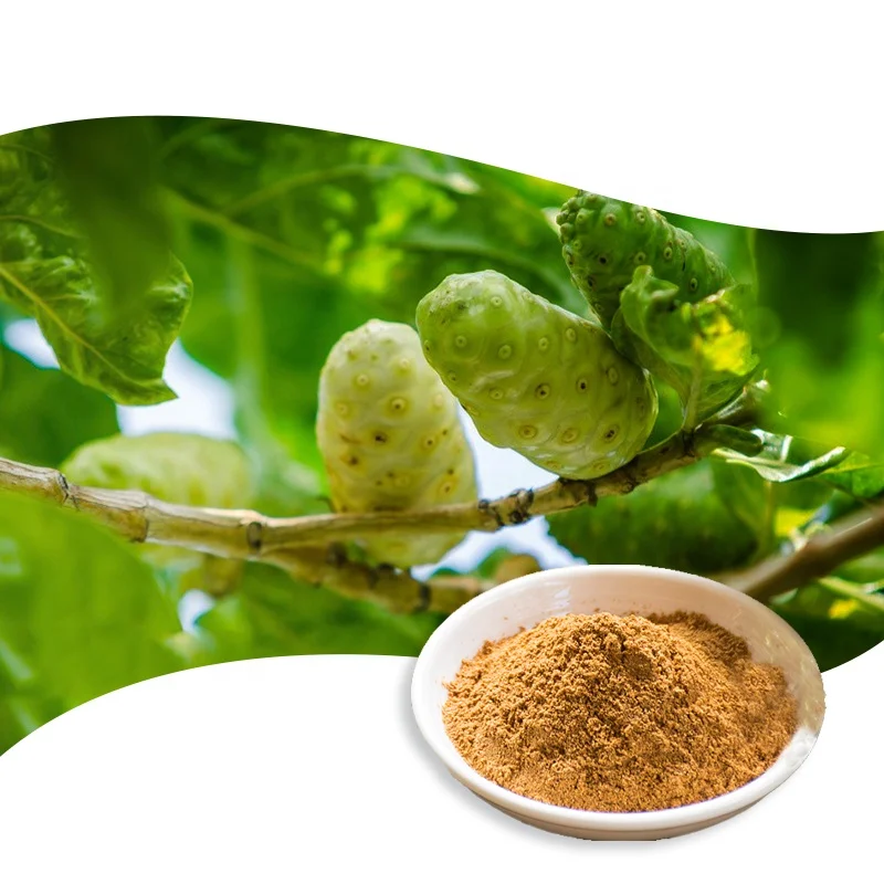 China factory premium quality Noni fruit powder plant extract for immunity healthy