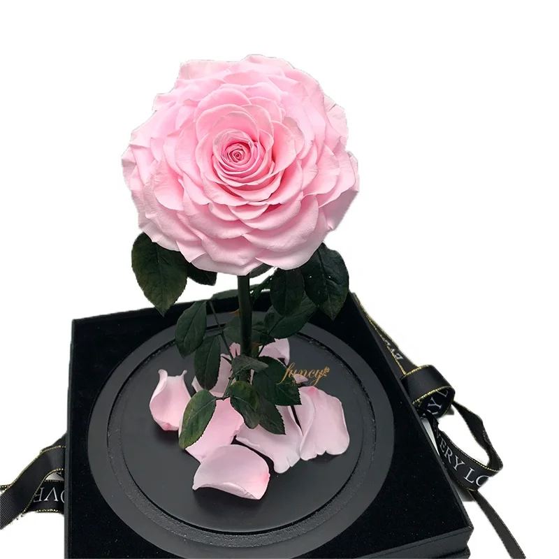 Factory Customized Wholesale Valentines Day Gifts Long Stem Glass Dome Belle Enchanted Preserved Forever Roses in Glass Dome