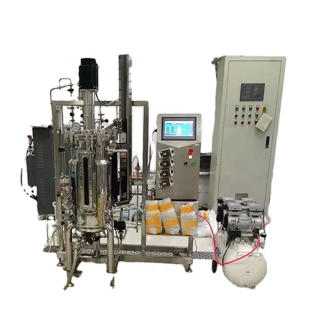 Multi-stage seed tank fermentor bioreactor