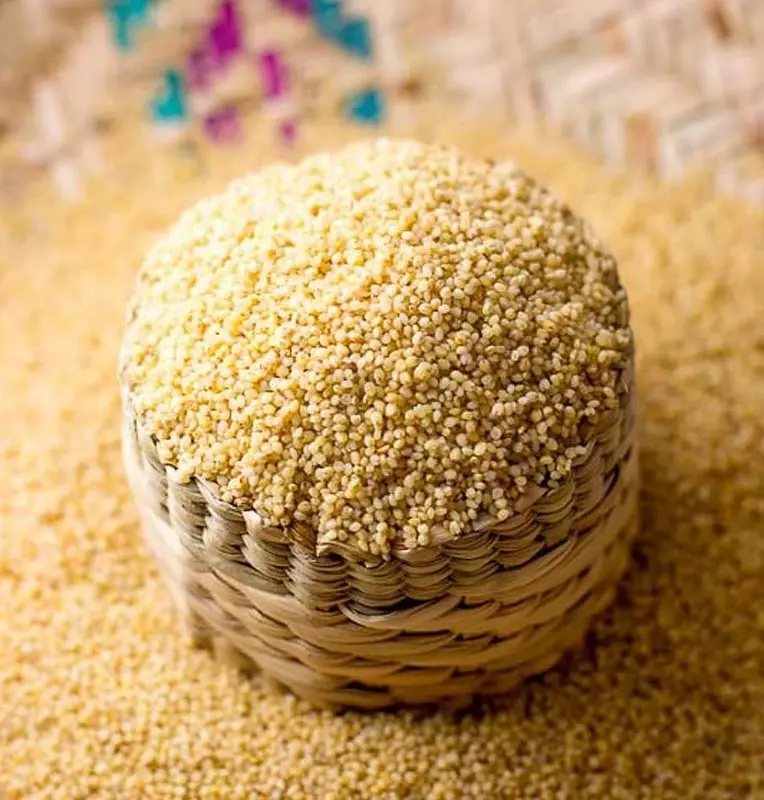 
Немецкий Плекс лисий хвост с высоким содержанием волокна и кальция от индийского поставщика 