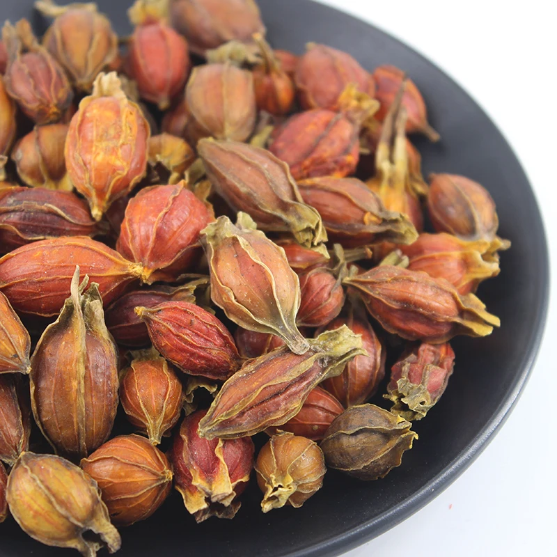 High Quality Dried Fructus Gardenia Edible Dried Herbs Spices  Fructus Gardeniae For Sale