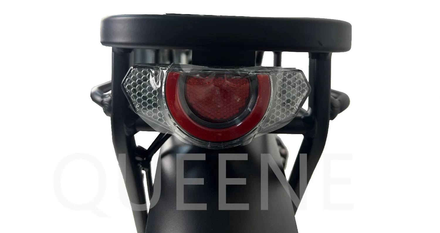 Queene Long range fat tire electric mountain bike hidden dual batteries  Bicycle 1000w 52V 21ah Ebike china manufacturer