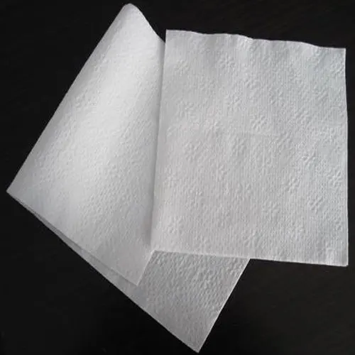 napkin paper (1).jpg