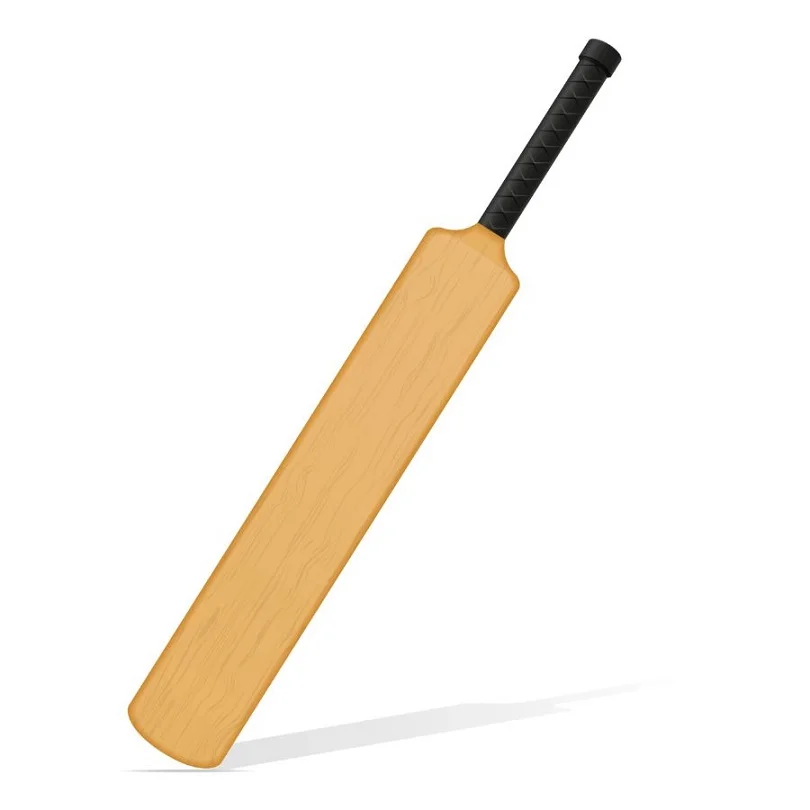 Top Quality India Made Genuine Pro Grade 1 English Willow Cricket Bat Customize Label Available from India