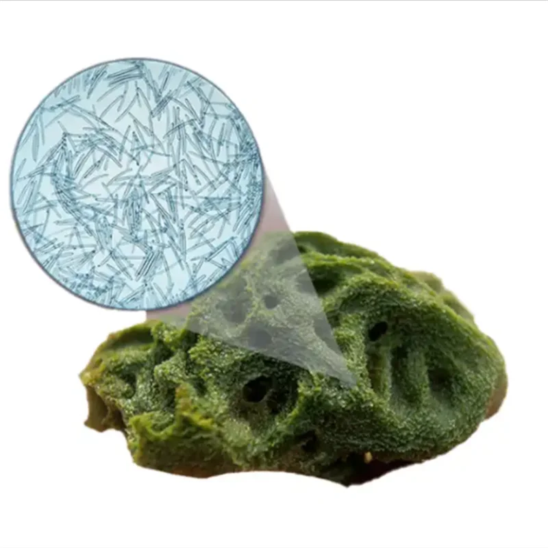 Hot Sale 70% Algae Facial Peel Off Face Mask Spongilla Spicules Peeling Powder Acne Natural Seaweed Extract