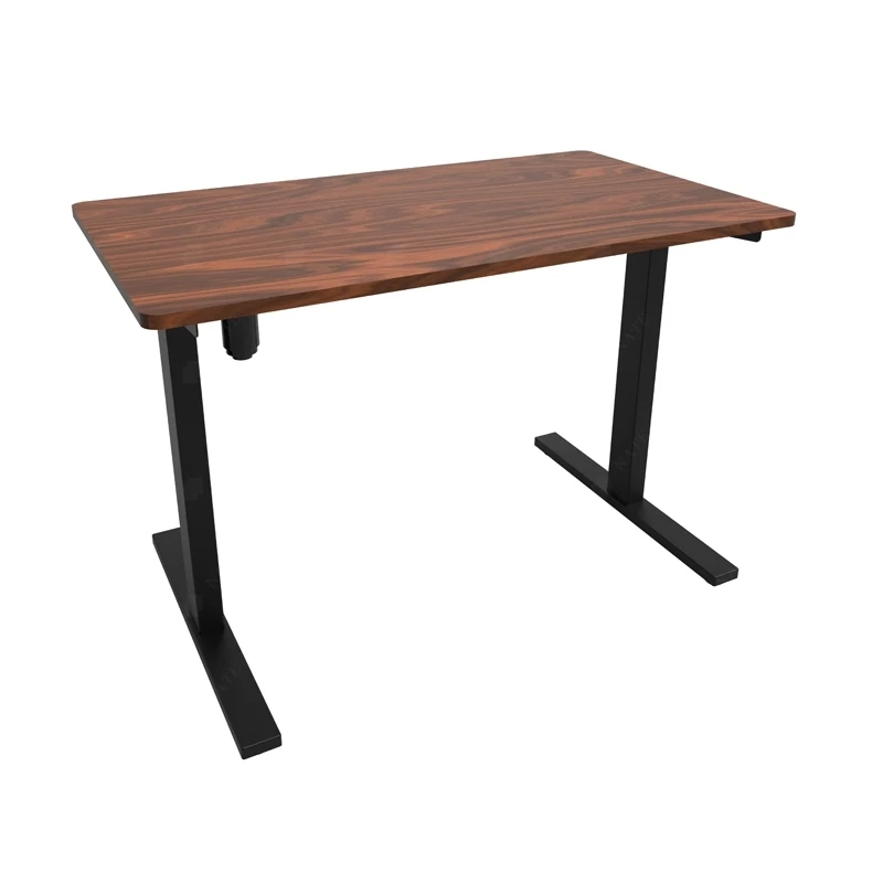 Popular Walnut Wooden Top Height Adjustable Double Motors Electric Sit Stand Lifting Office Computer Desk