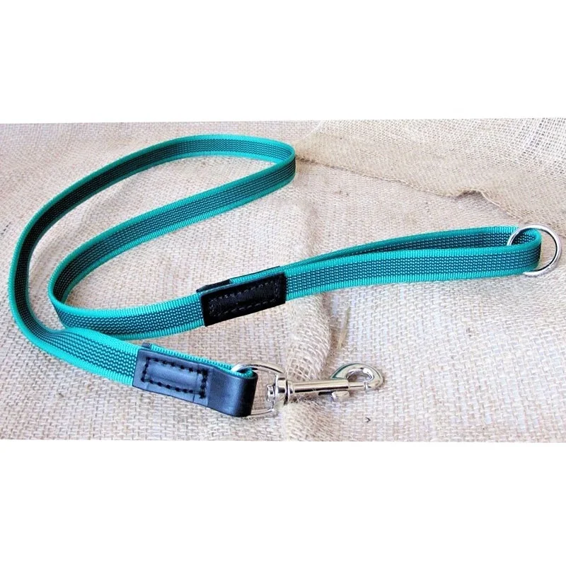 New design nylon webbing soft neoprene padded adjustable bungee dog leash
