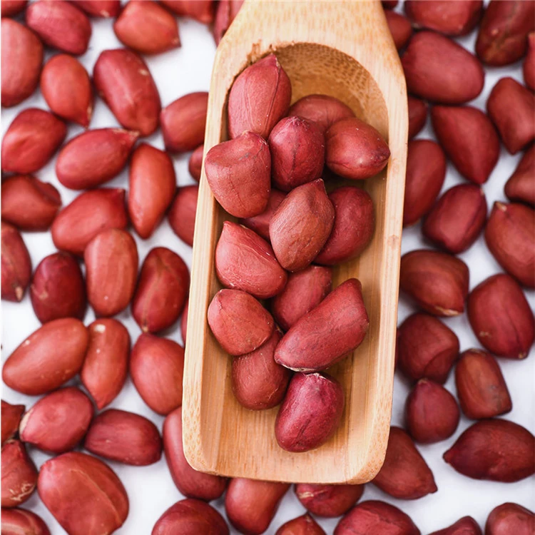 
Industrial Agricultural Safety Products Wholesale High Quality Grade 5A 6Mm Size 8.5% Moisture Red Skin Peanut 