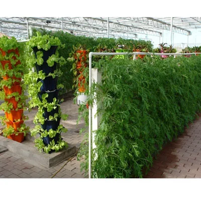 Теплица с солнечной энергией и боковыми вентиляционными окнами