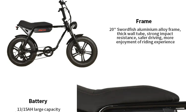 electric bicycle 48V  351-500W  fast speed made in China