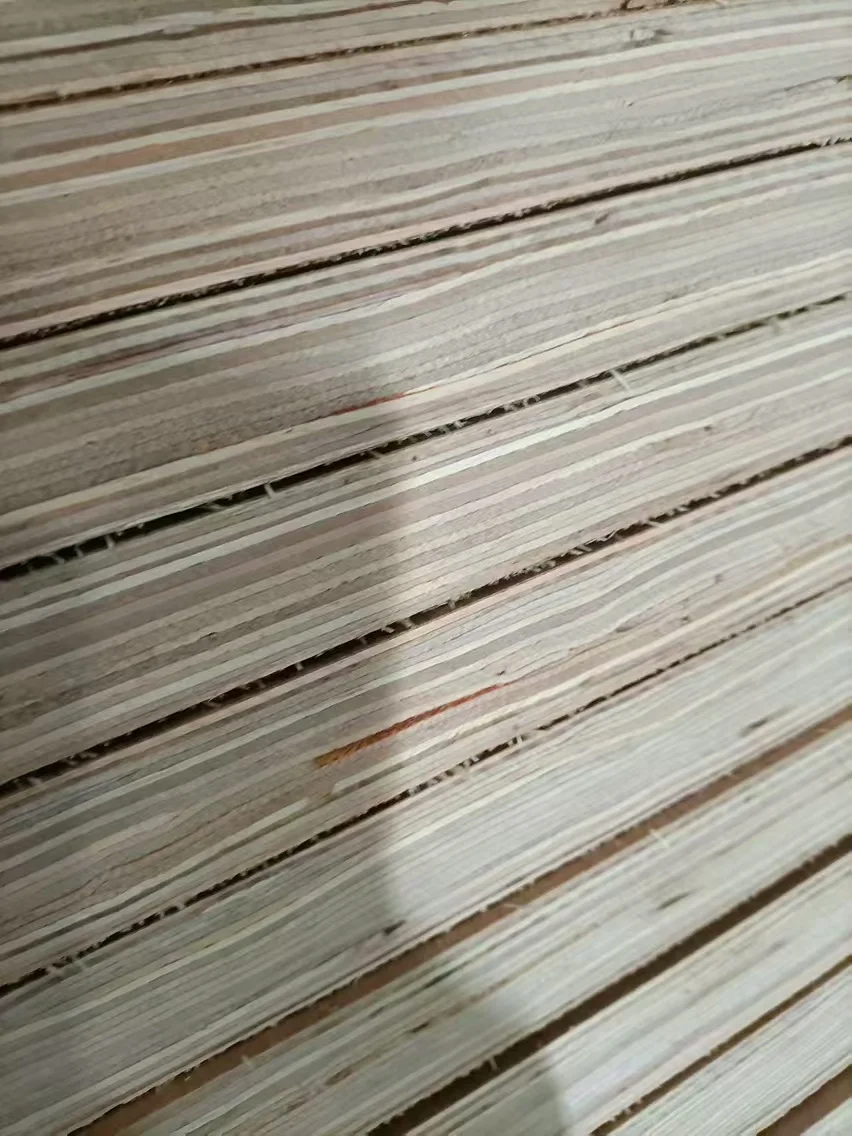 Whole sale 4x8 28mm thickness Marine Container Floor Plywood Wood Floor Dry Cargo Shipping Container Flooring