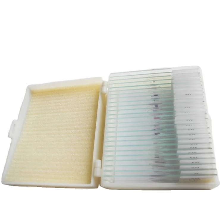 High Quality Medical Science Microscopes Best Price Educational Supply Middle School Histology Microscopy Teaching Learning