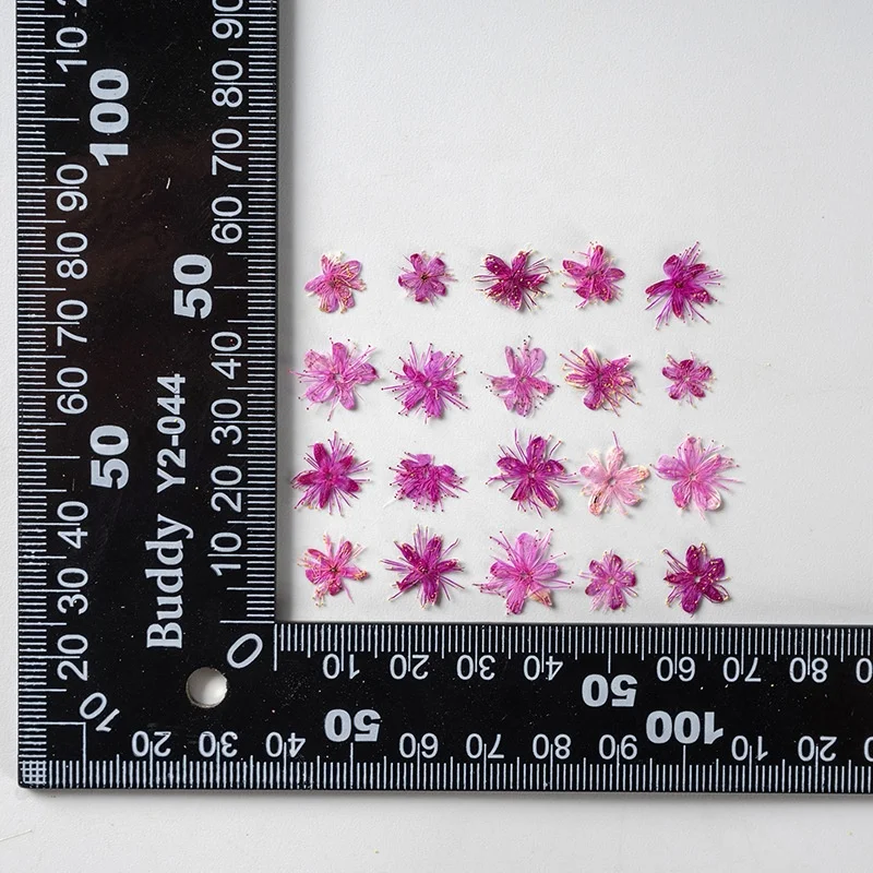 12pcs/bag Symplocos Paniculata DIY Nail Art Candle Soap Making Natural Plant Eco-friendly Real Pressed Flower