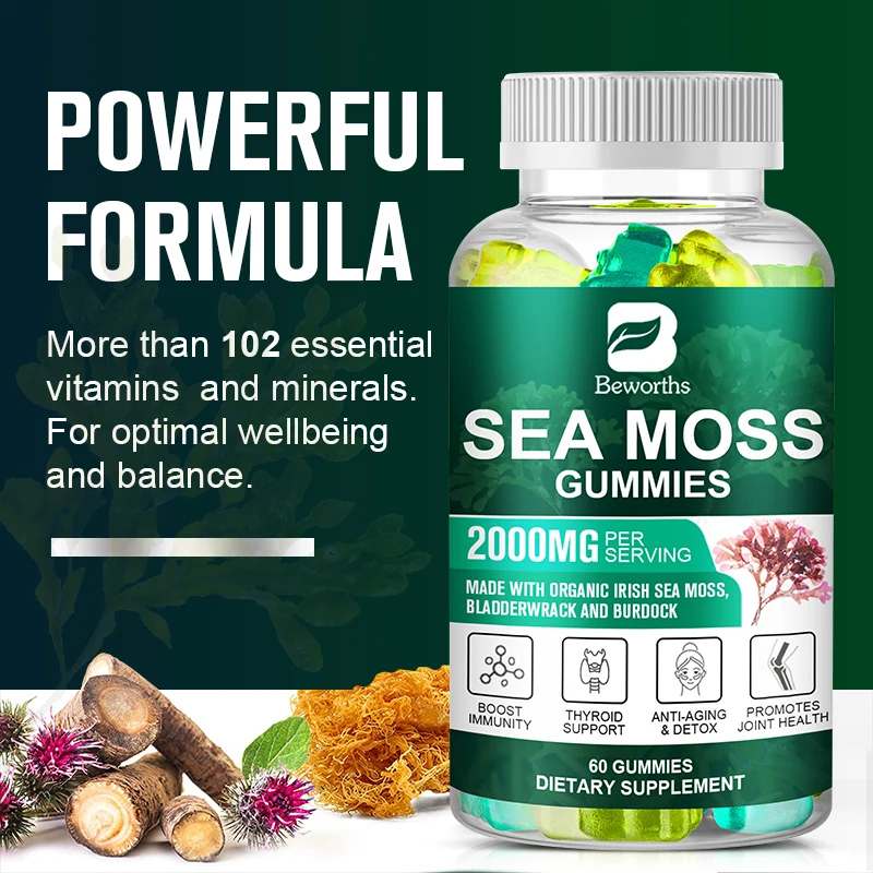 Factory Wholesale 60 Counts Natural Irish Sea Moss and Bladderwrack with Burdock Gummy Organic Sea Moss Gummies