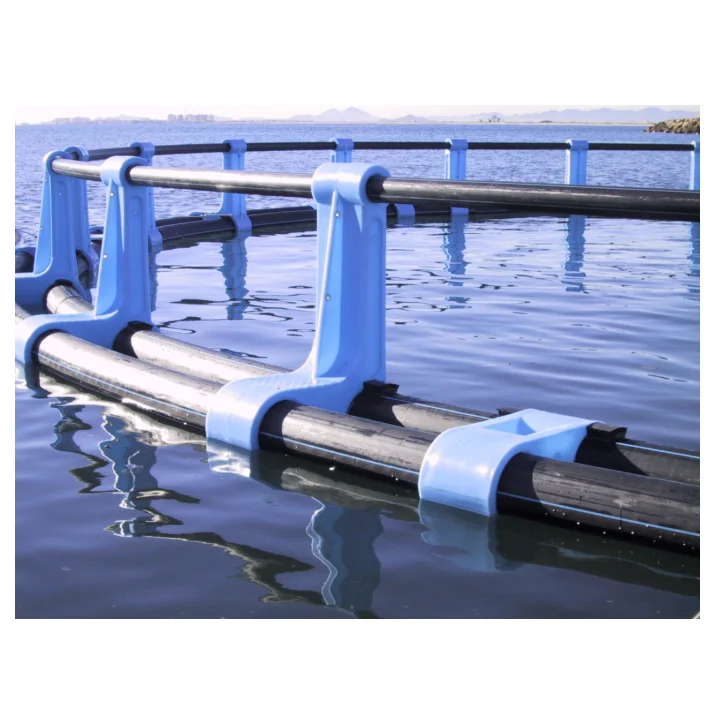 Barramundi Sea Bass Tilapia Export Supply Fish Farming Cage