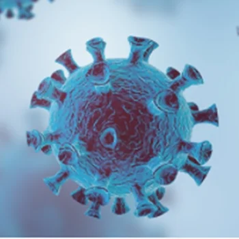 Анализатор ионограммы DSC, анализатор крови, анализатор сухой гематологии иммуноанализа