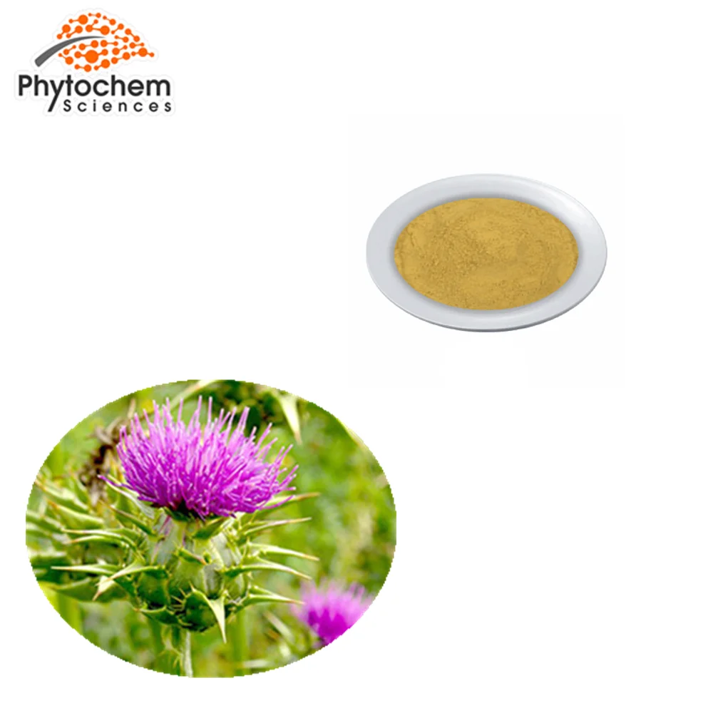 
Cosmetic Plant GMP Certified Water Soluble Bulk DAB10 80 Silymarin Food Supplement Seed Organic Powder Milk Thistle Extract 