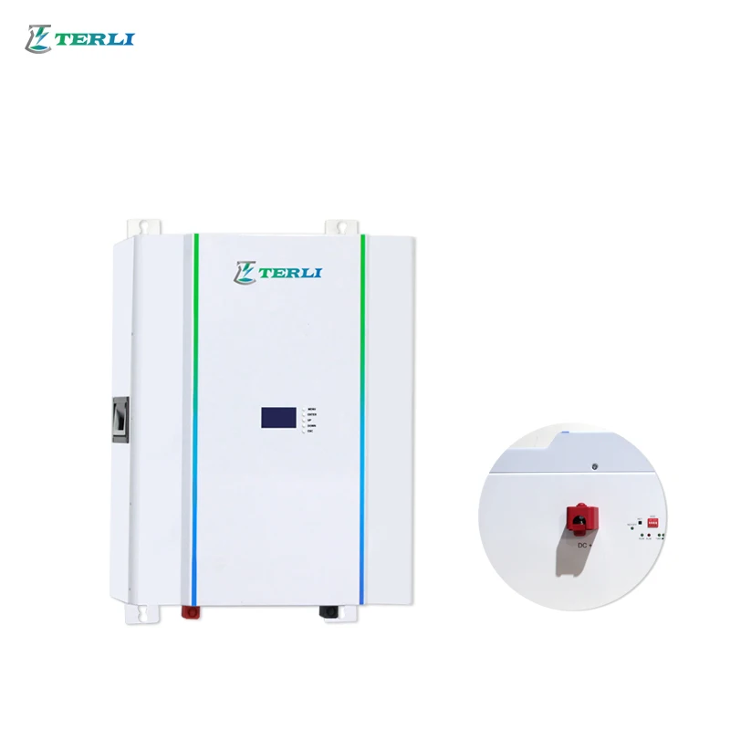 Terli Powerwall 48V 5Kwh 10Kwh Batterie Fotovoltaico Agli Ioni Di Litio Lifepo4 Energy Storage Lithium Ion Batteries