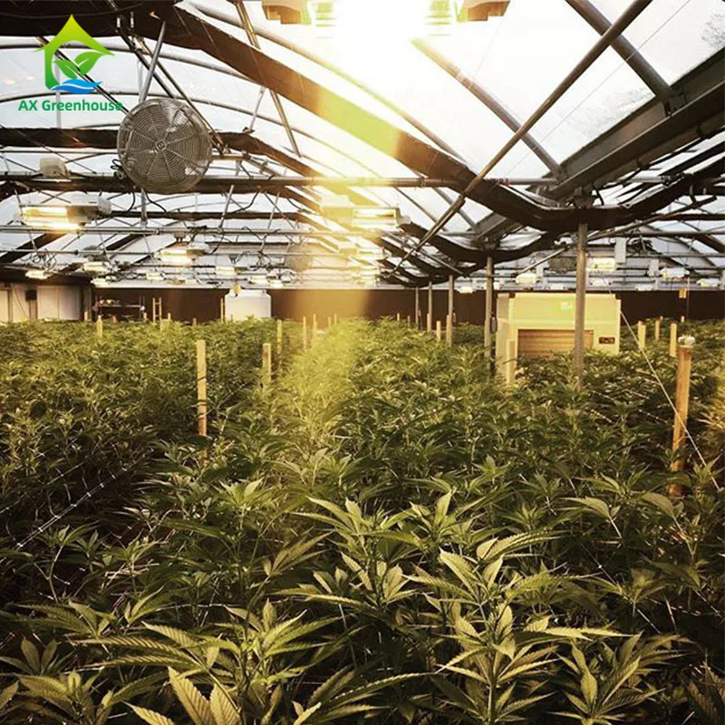  Американские однопролетные теплицы сельскохозяйственная стандартная Автоматическая теплица с затемнением пластиковой пленки