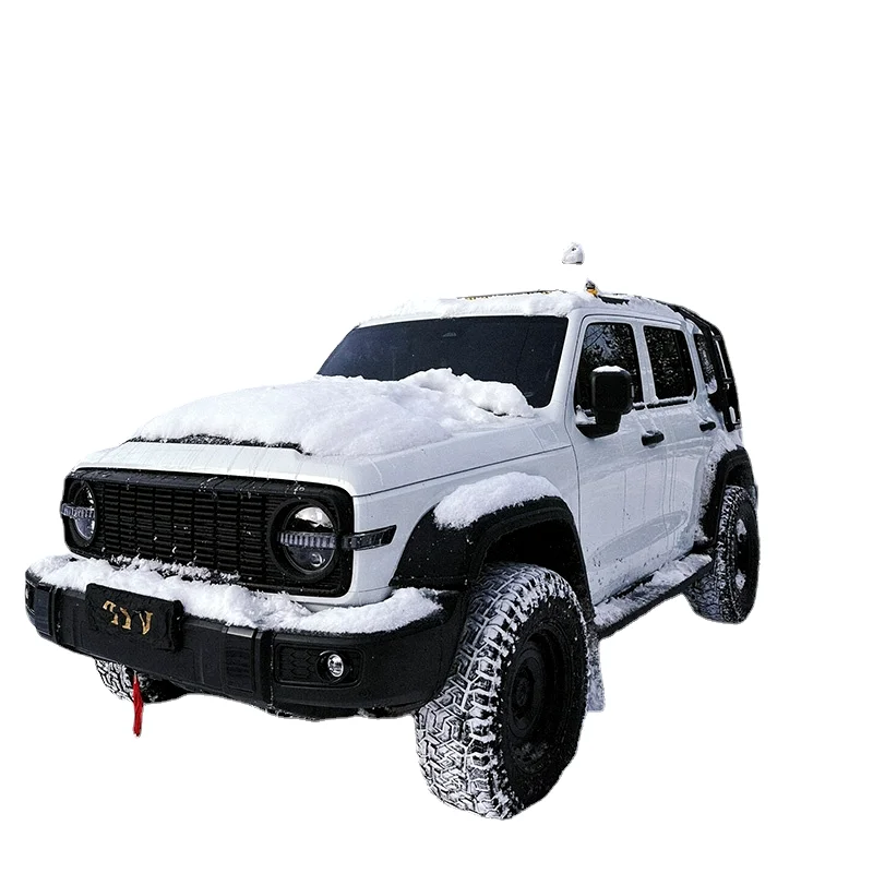Great Wall Tank 300 2024 2.0 T Hybrid Gasoline Vehicle Large Space SUV Car