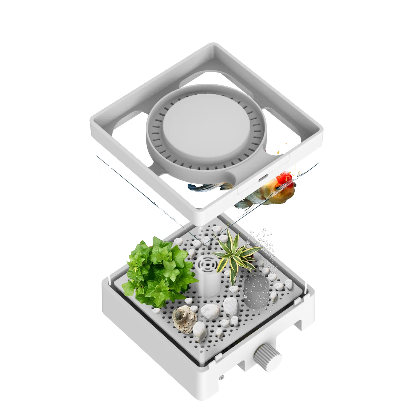 Factory Home Premium Food grade Fish Tank Aquarium Smart Fish Tank with RGB light