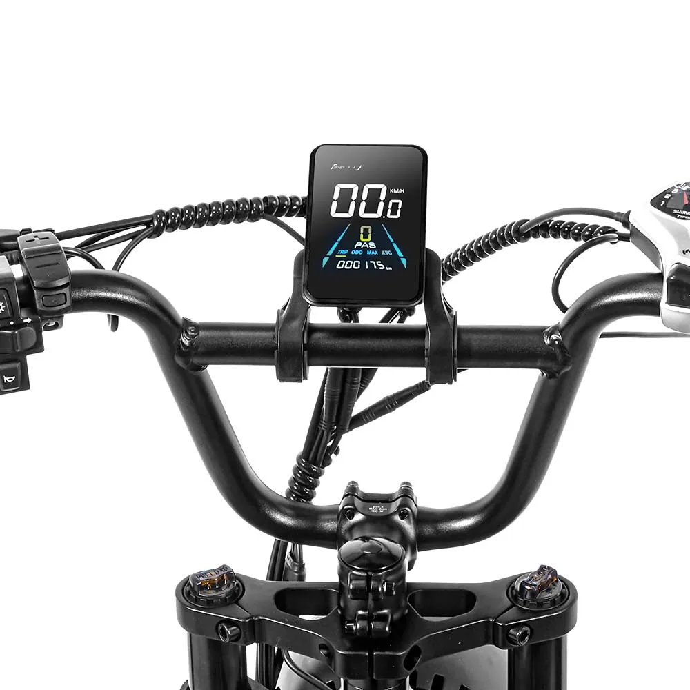 China Factory E-bike Mountain Bicycle FXH009 Double Suspension 750W 1000w Retro Fat Tire Electric Bike Disc Brake in EU/US