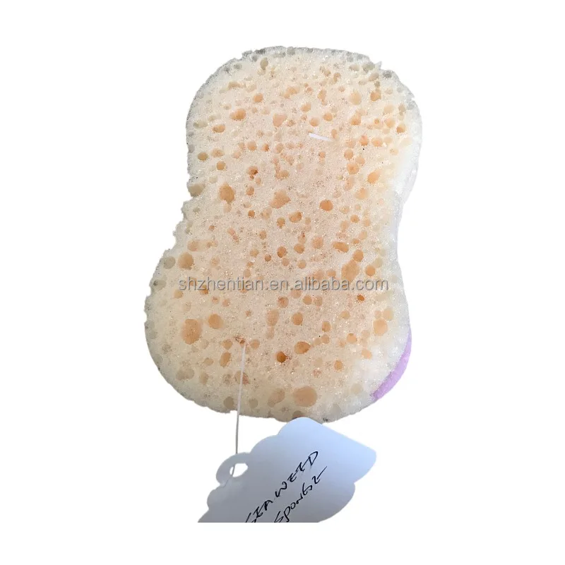 Sponge ables Exfoliating Body Wash In A Sponge/Sea Salt/ bath sponge