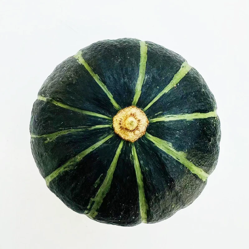 High Quality Cheap Freshly Picked Pumpkin Lot With Quick Preservation Methods