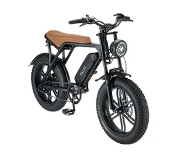 OUXI V8 New Electric Bicycle 750W Motor 48V 15Ah Lithium Battery Ebike 20In  E Fat Bike Amserdam Fat Tire Mountain Electric Bike