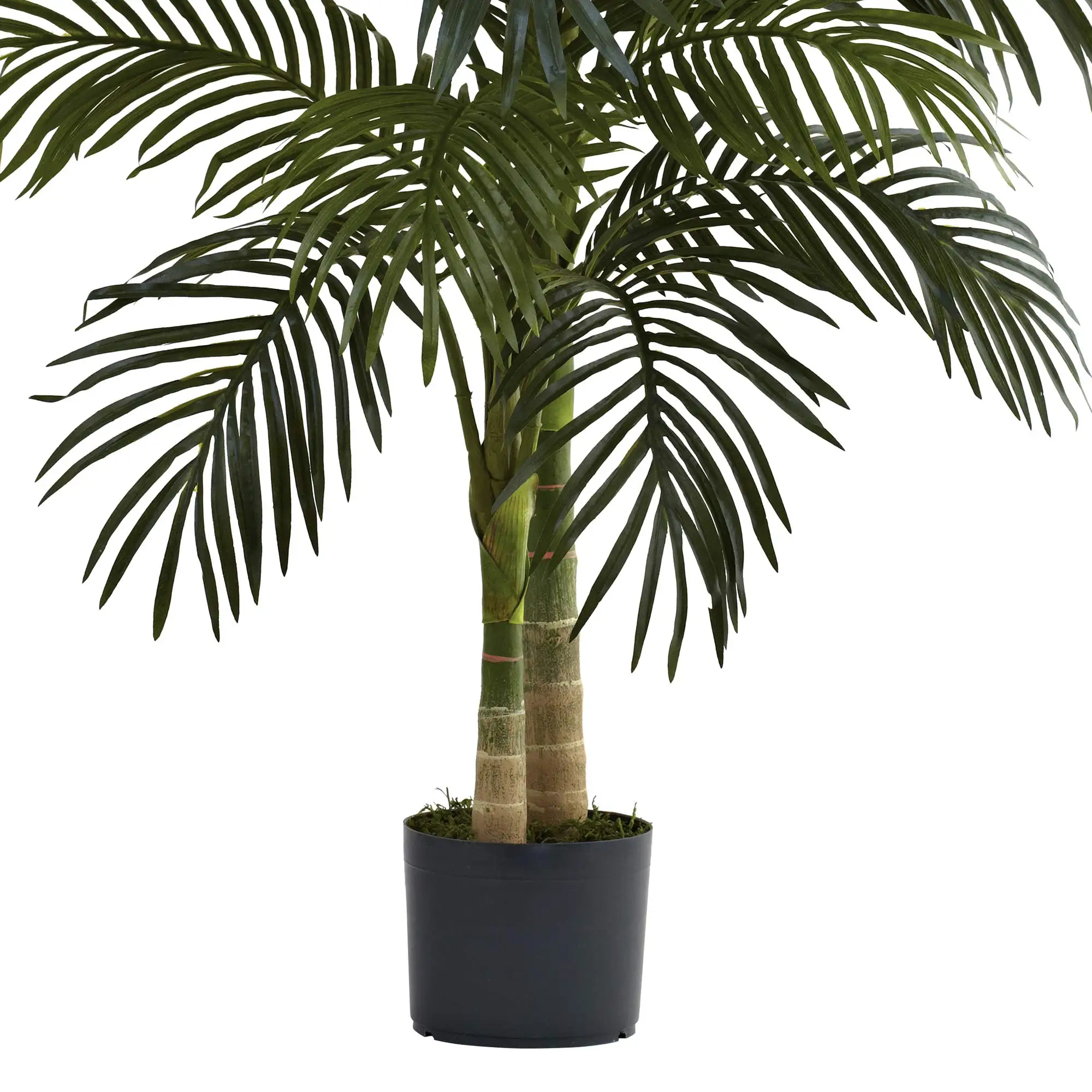 Custom Logo High Quality Tree Artificial Decoration Large Plants Artificial  Golden Cane Palm Tree