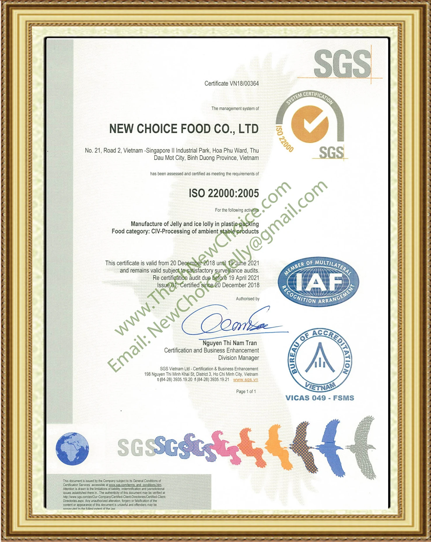 Yogurt Flavor Mini Fruity Gels Bag 320g