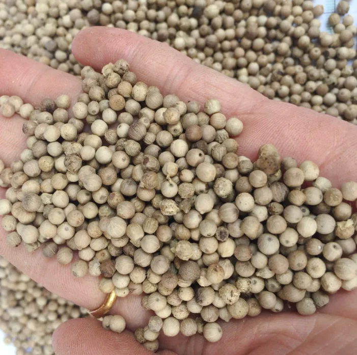 Supply whole Specifications Vietnam White Pepper high quality Peppercorn White Pepper