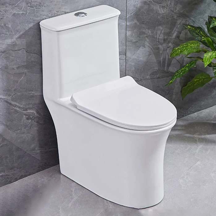 New arrival washroom wc sanitary ware floor mounted s trap inodoro ceramic toilet for bathroom